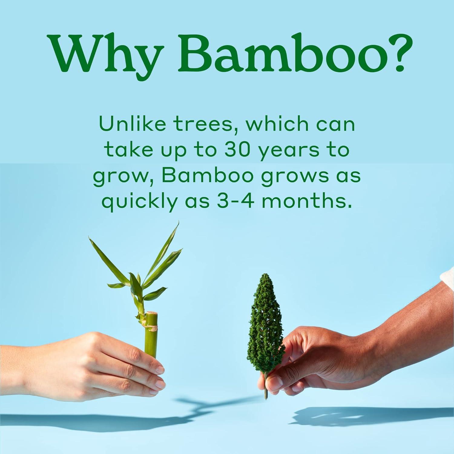 image:imageCaboo Tree Free Baby Wipes Naturally Derived Baby Wipes for Sensitive Skin 6 Resealable Peel Tab Travel Packs 30 Wipes Per Pack Total of 180 Wipes