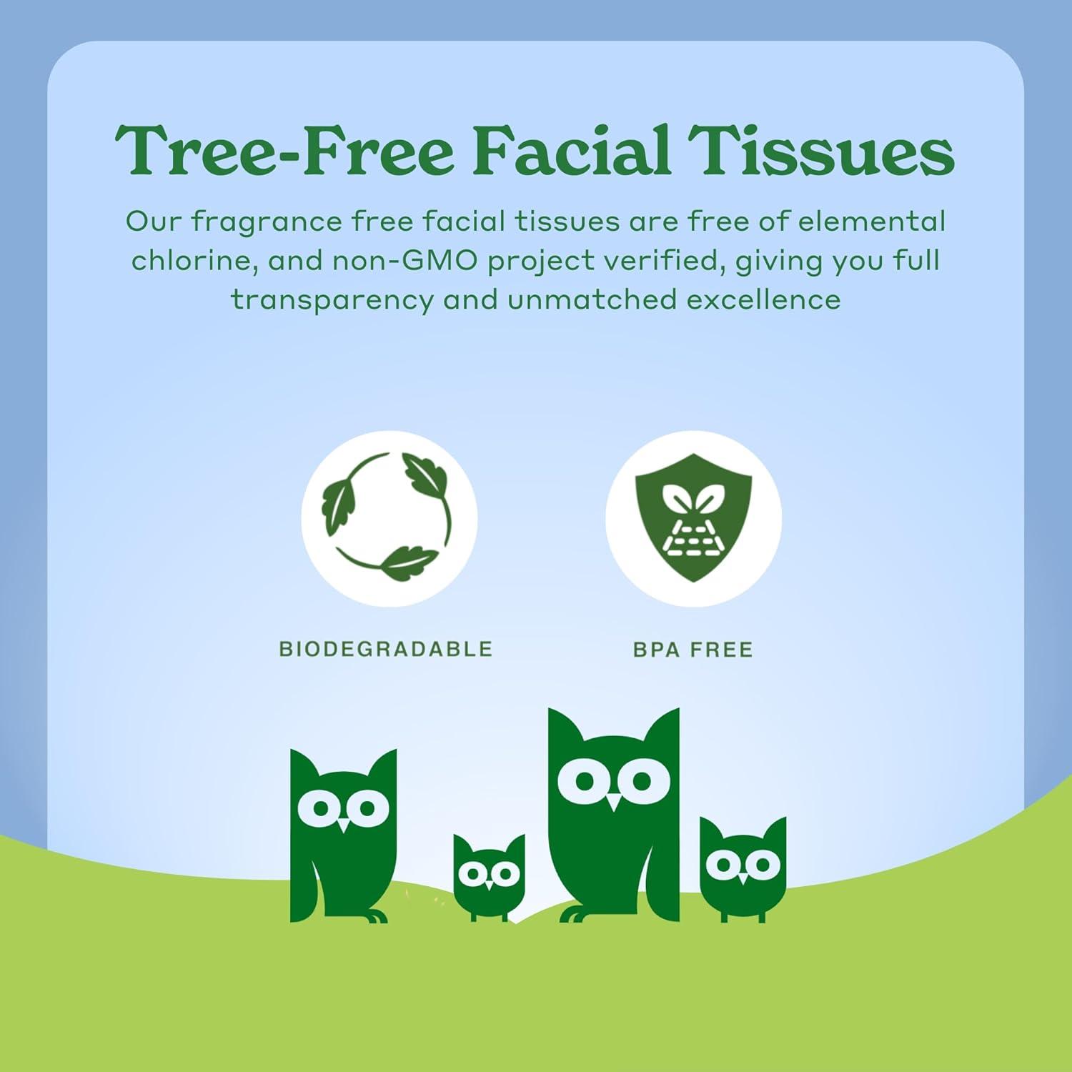 image:imageCaboo Tree Free Facial Tissue Paper Tissue Box with 60 Sheets Per Cube Total of 6 Cubes 360 Total Tissues6 Cube Boxes