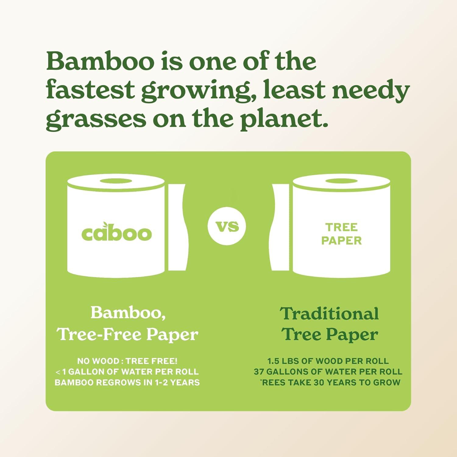 image:imageCaboo Tree Free Paper Towels 8 Rolls Earth Friendly Sustainable Kitchen Paper Towels with Strong 2 PlyWhite